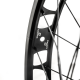 19" COMAS Rear Wheel