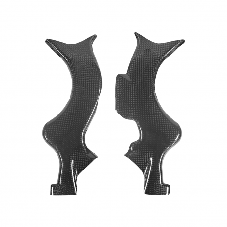 Protector Carbono Chasis BETA