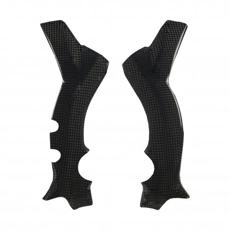 Protector Carbono Chasis TRRS